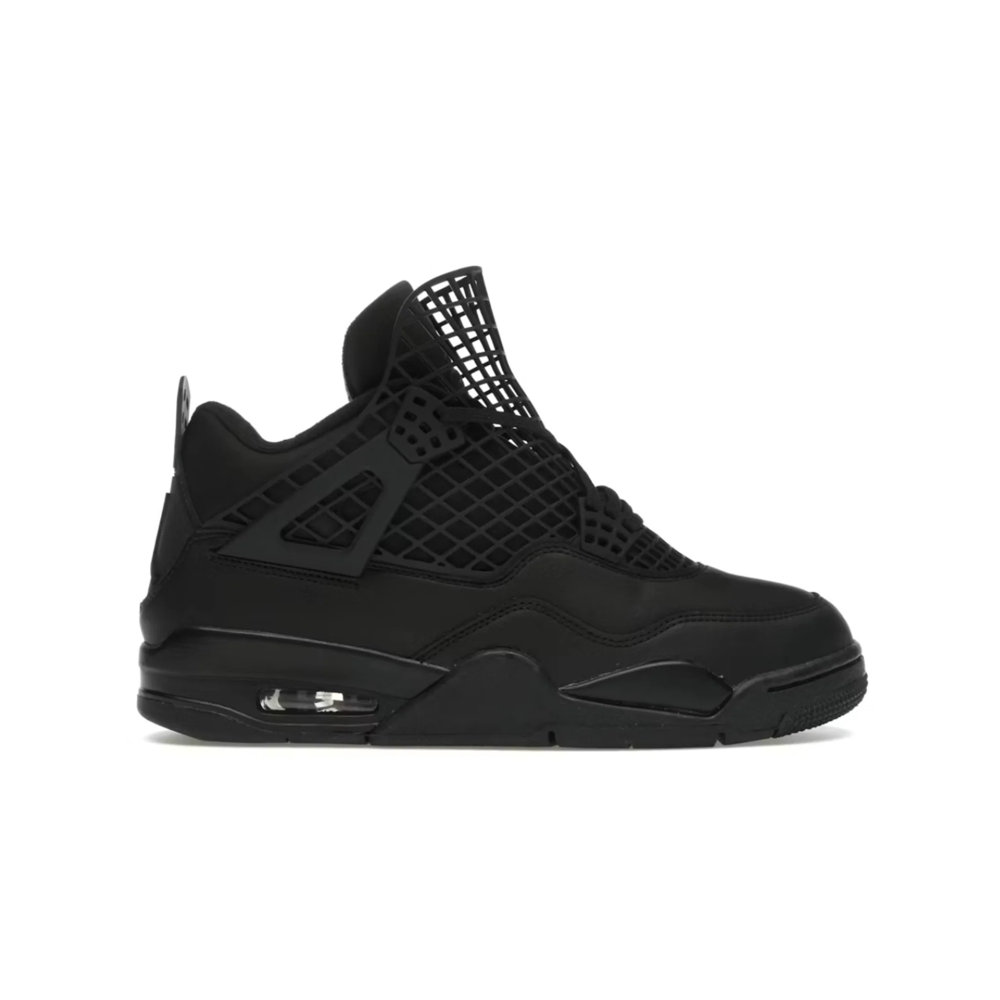 Jordan 4 Retro Net Black (Women's)