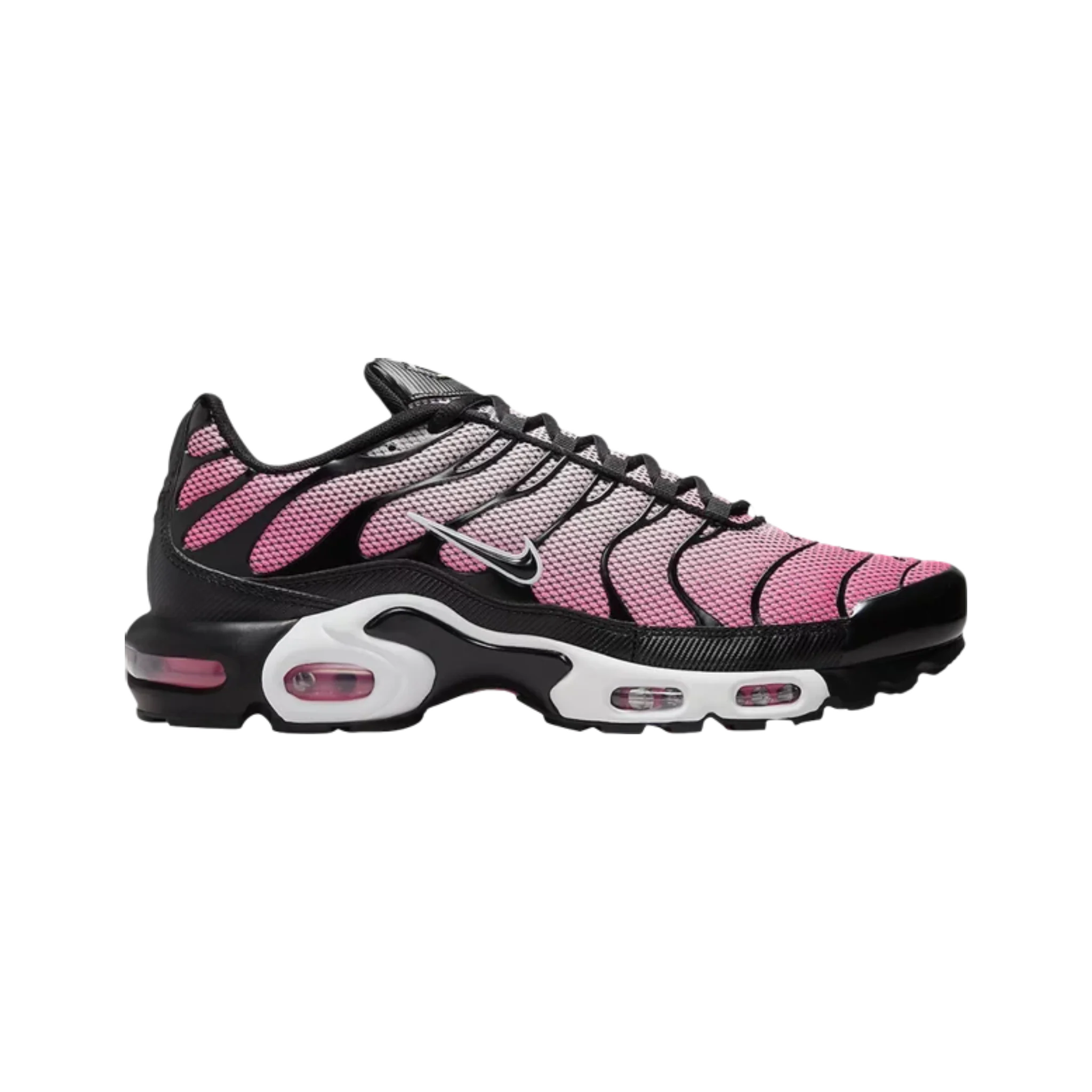 Nike Air Max Plus All Day