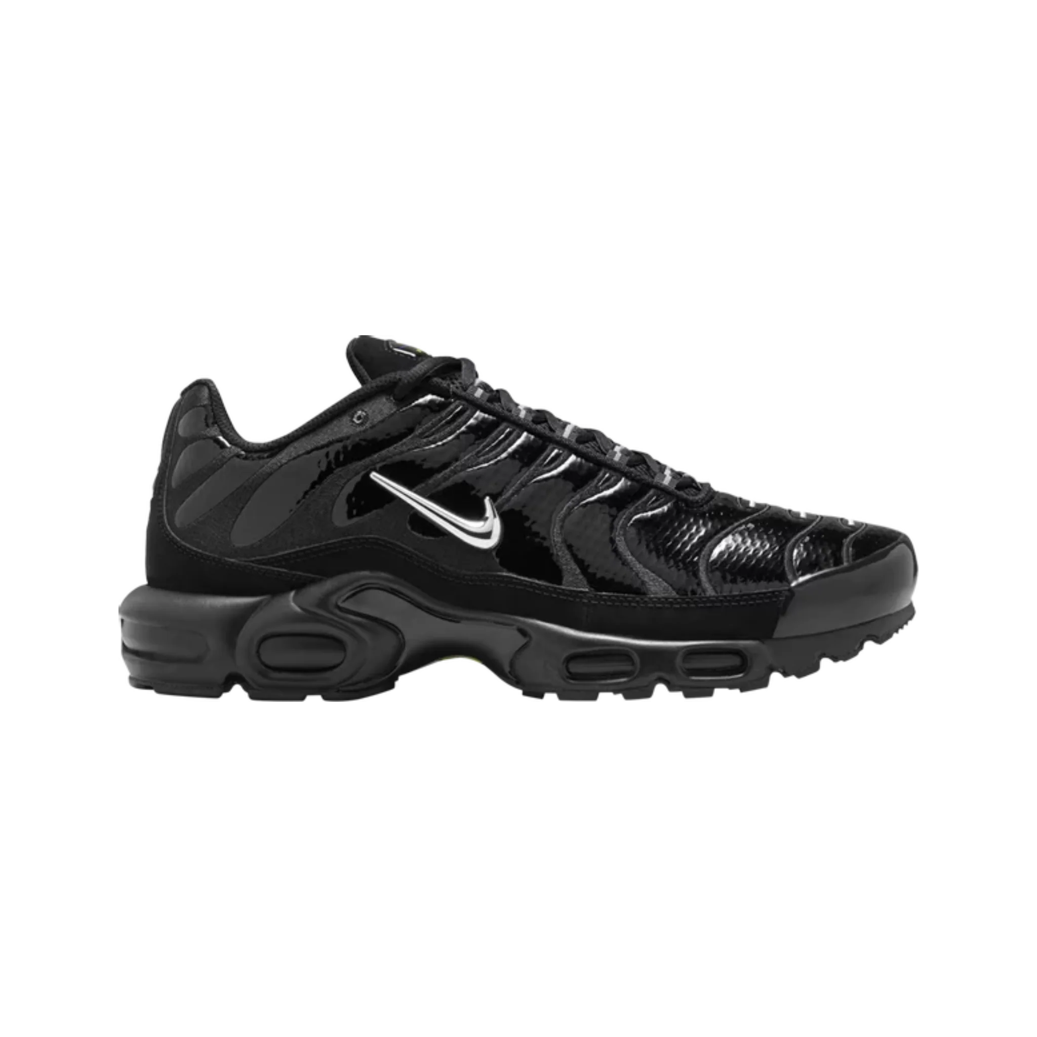 Nike Air Max Plus Black Chrome