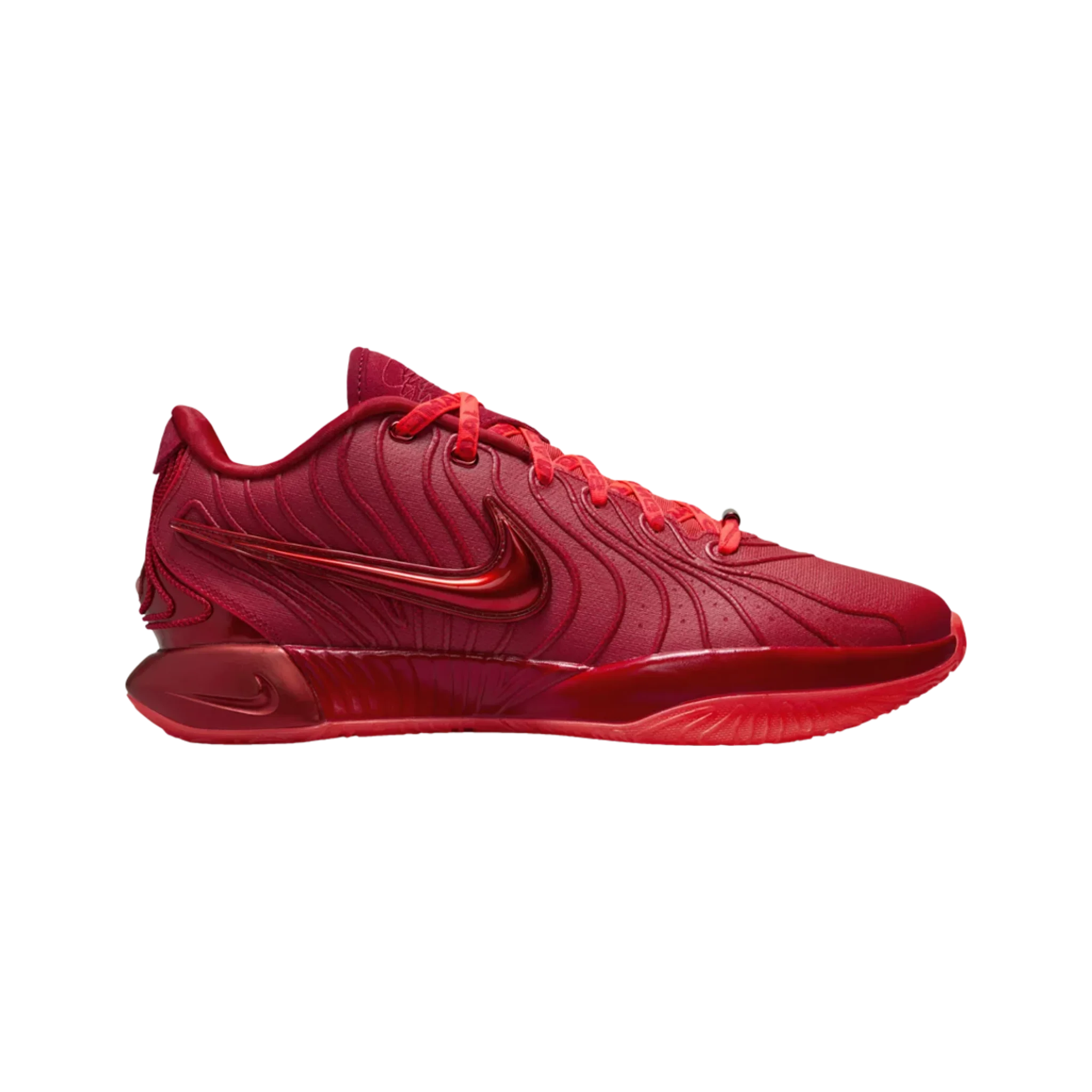Nike LeBron 21 James Gang
